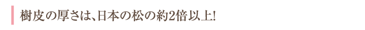 樹皮の厚さ