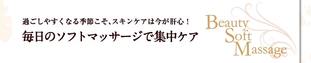 ᤴ䤹ʤ뵨ᤳ󥱥ϺοΥեȥޥåǽ楱