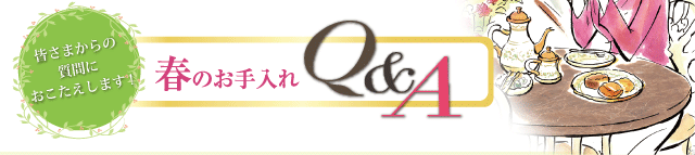 դΤQ&A