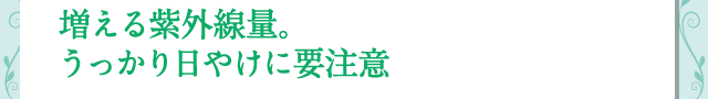 糰̡ä䤱