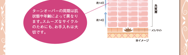 ޤʤ줬