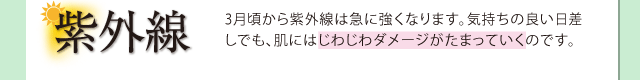 糰